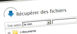 Sélection des fichiers à récupérer